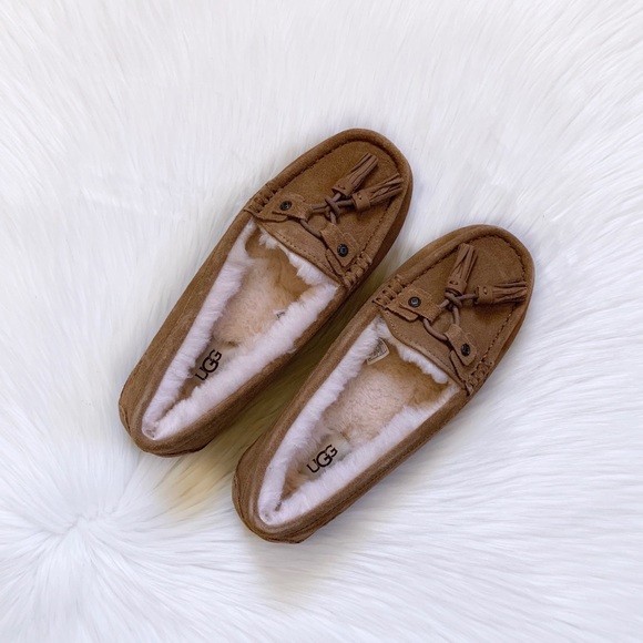 UGG Litney Chestnut Slipper For Outdoor/Indoor Use - Picture 3 of 8